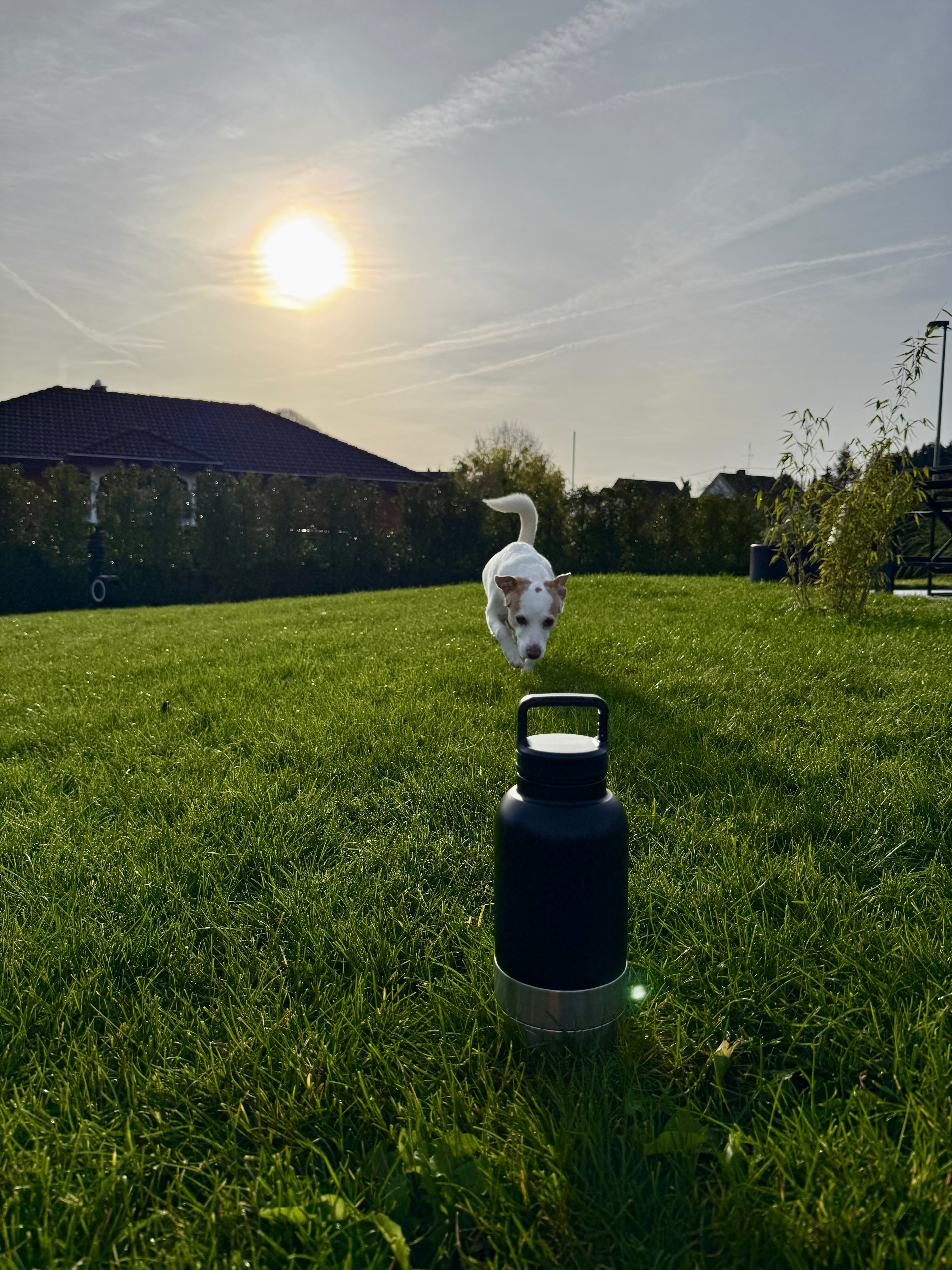 TrailM8(eight) Bottle