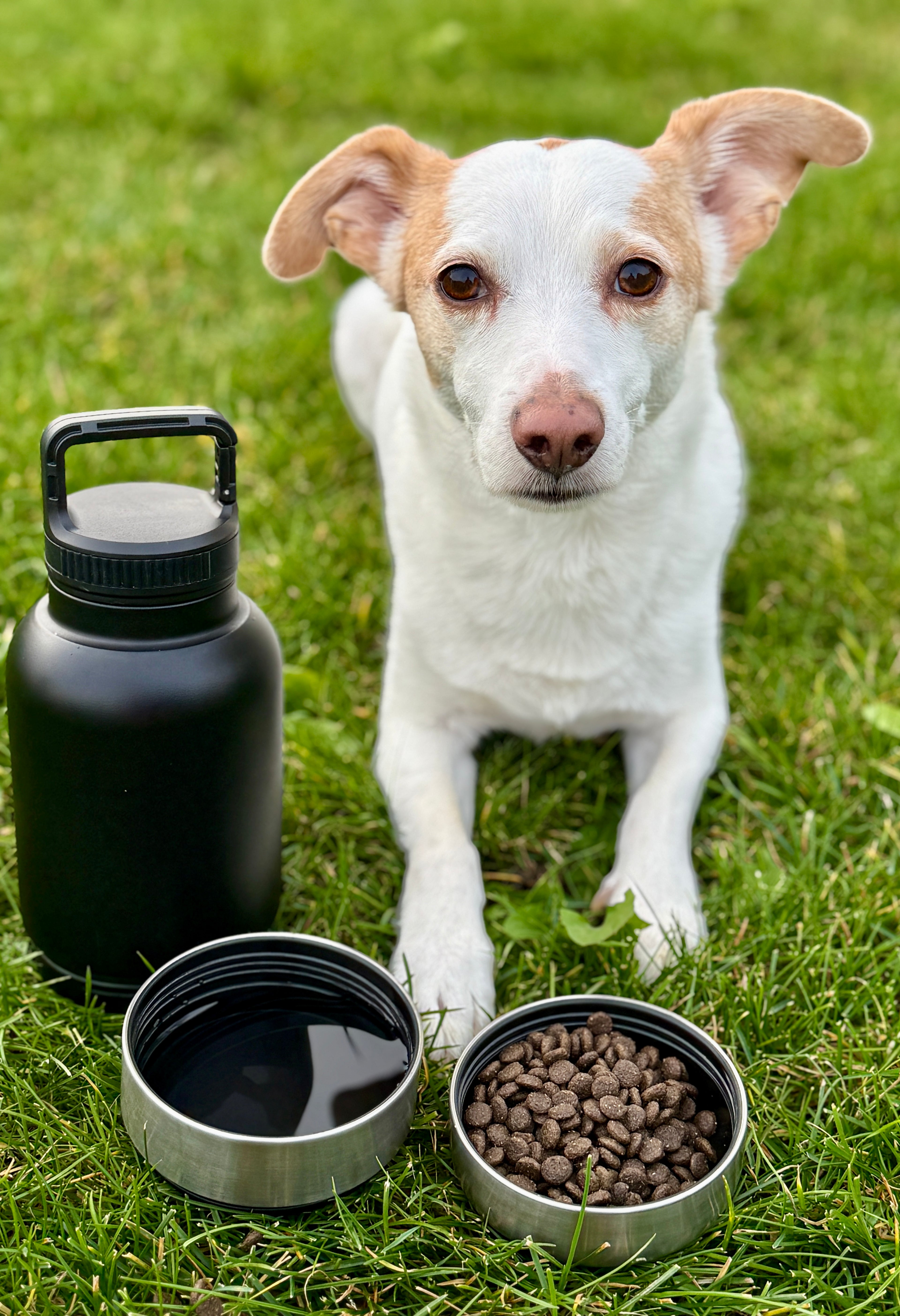 TrailM8(eight) Bottle