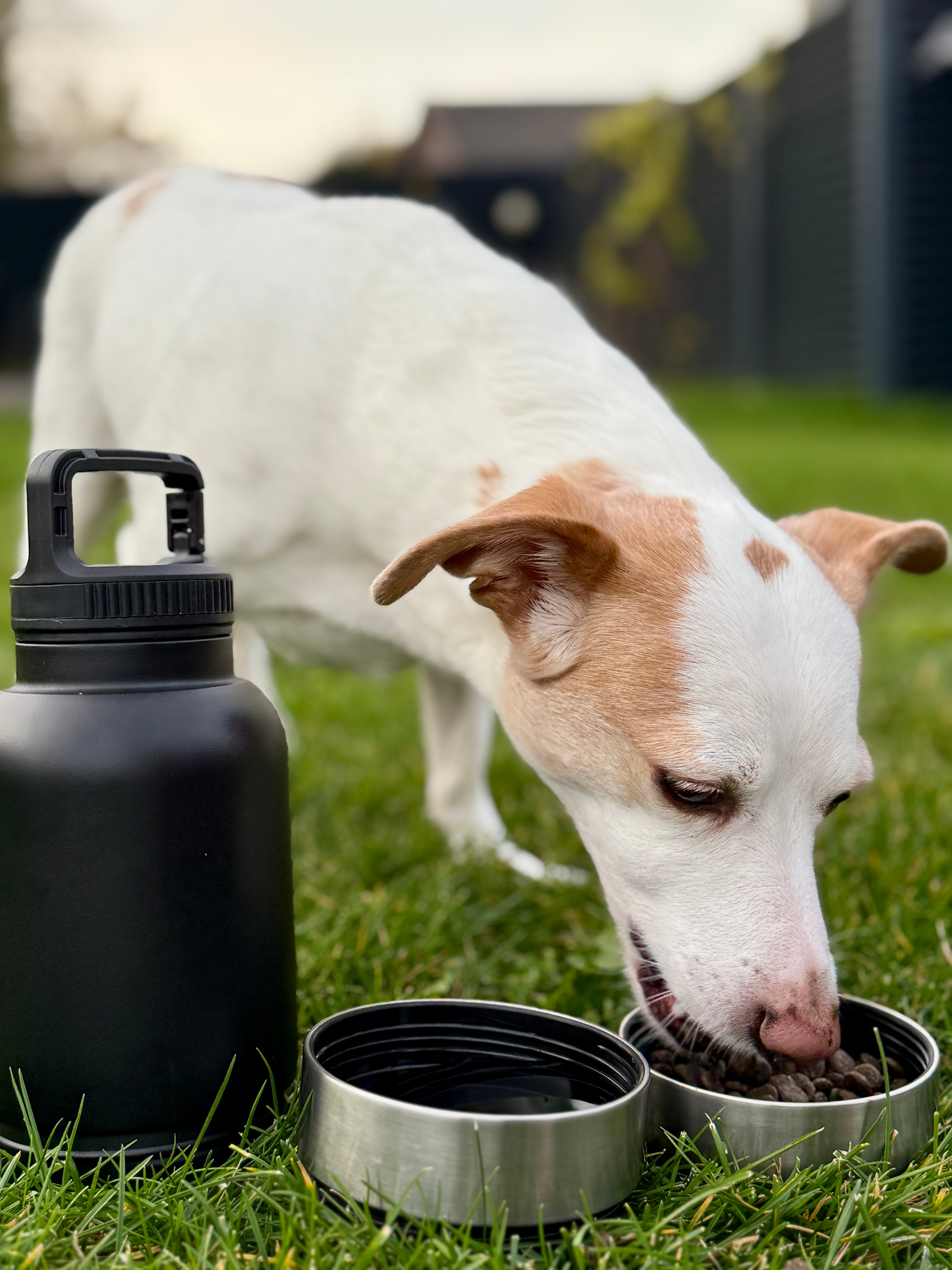 TrailM8(eight) Bottle